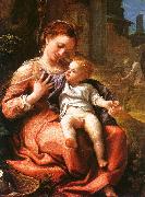 Correggio Madonna della Cesta, oil