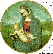 madonna conestabile Raphael