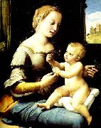 madonna of the pinks Raphael