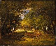 Brooklyn Forest Scene oil