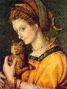 BACCHIACCA Portrait de jeune femme tenant un chat china oil painting artist