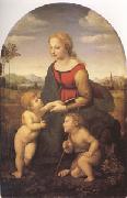 Raphael La Belle Jandiniere (mk05) china oil painting artist