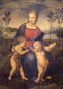 Madonna of the Goldfinch Raphael